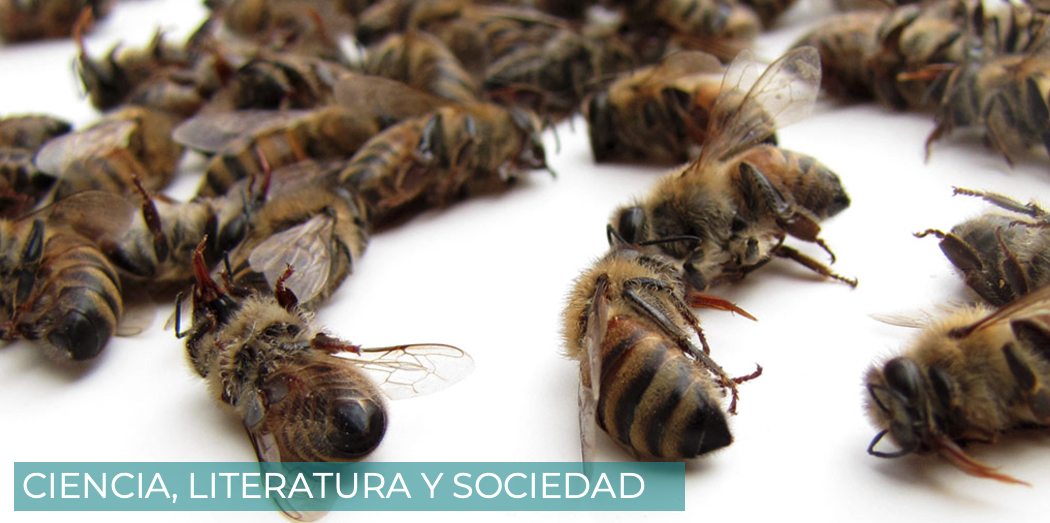 Abejas